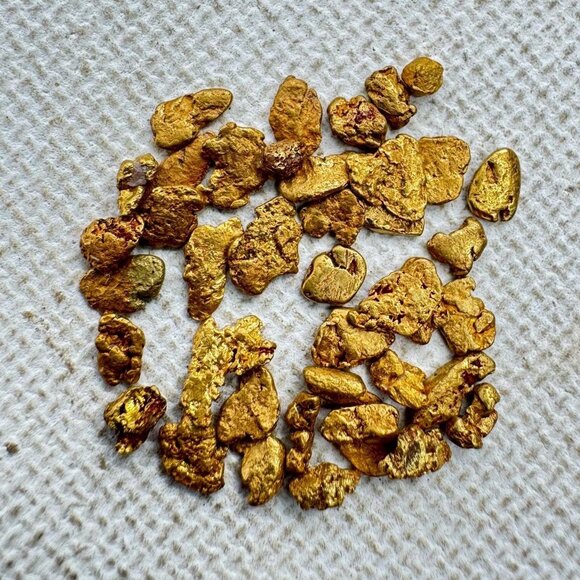 One Gold Nugget from California in Display Case - 0.05 grams - Picture 7 of 7